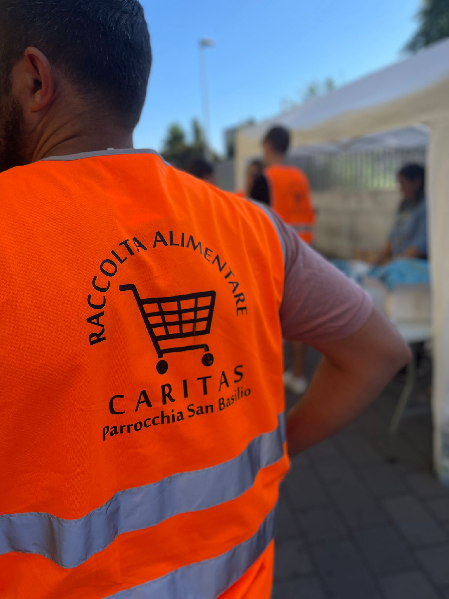 Raccolta Alimentare
